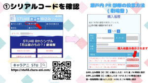 投票方法劇場盤①